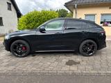 Alfa Romeo Stelvio 2.0 Turbo 16V 206kW Veloce AT8-Q4 Veloce - gebrauchte Alfa Romeo Stelvio aus dem Jahr 2023