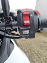 Honda XL 750 Transalp 2025 *auf Lager* - Honda Motorräder in Hannover