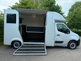 Renault Master 2018 Pferdewagen Horsetruck Transporter - Renault: Transporter