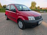 Fiat Panda 1.1 (Typ 169)  HU bis 11/2026 - Fiat Panda 169