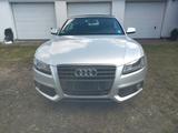 Audi A5 2.0 TFSI 132kW  Cabriolet -Bang&Olufsen - Audi A5 aus 2009: Cabrio