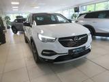 Opel Grandland 1,2 Turbo 120 Jahre Kamera beh. Fronts - Opel Grandland (X) 120-Jahre