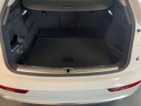 Audi Q5 - Vorschau Bild 7