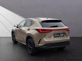Lexus NX 350h E-Four Overtrail*PANORAMA*MARKLEVINSON* - Lexus NX-Serie in Düsseldorf