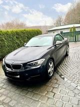 BMW M235i xDrive Steptronic Cabrio - - BMW M235: M235i