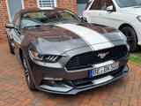 Ford Mustang 2.3 Coupe Aut-+Keyless+Kamera+Bi-Xenon+ - Ford Mustang