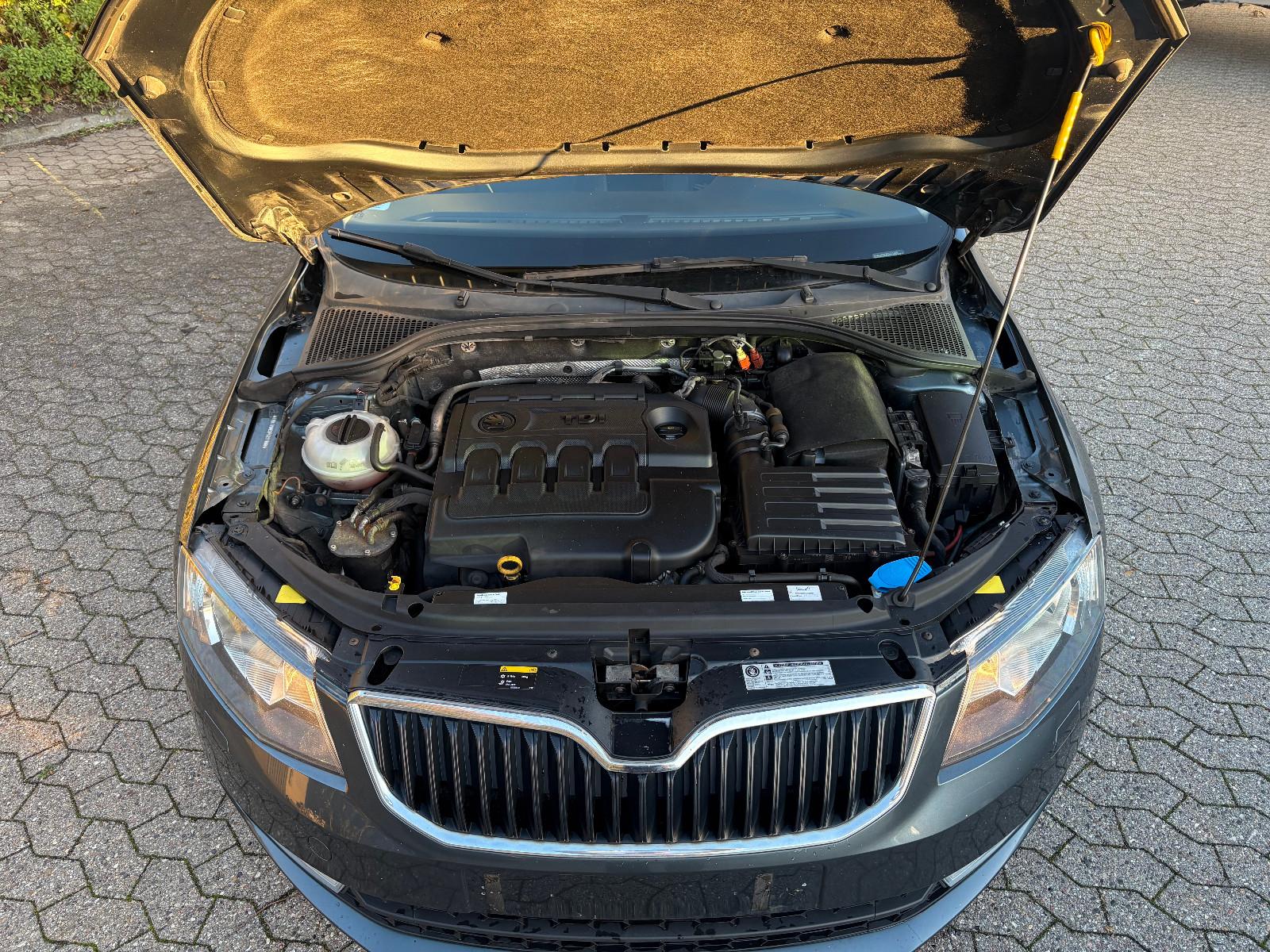 Skoda Octavia 2015 — фото 18