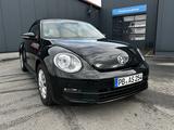Volkswagen Beetle Cabriolet BMT, SHZ!! - gebrauchte VW Beetle aus dem Jahr 2015