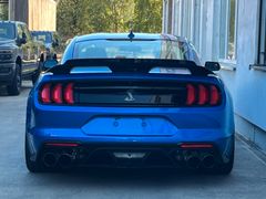 FORD Fastback Shelby GT500 HANDLING Paket 1 Hand