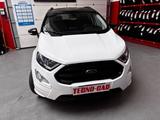 Ford EcoSport 1.5 Ecoblue 100 CV Start&Stop Plus - Ford EcoSport: Van