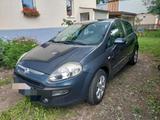 Fiat Punto - gebrauchte Fiat Punto aus dem Jahr 2010