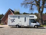 Roller Team New Paddock  - Offers