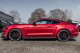 Ford Mustang 2.3Premium/SHZ/Luft/Navi/ACC/Shelby/Voll - Ford: Shelby