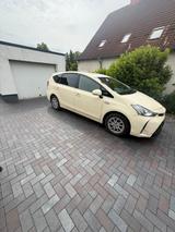 Toyota Prius Plus -  7 Sitzer - Toyota Prius: 7