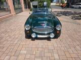 Austin Healey MK II - Austin Healey Oldtimer