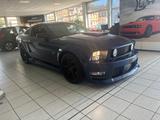 Ford Mustang 4,6L SHELBY OPTIK  GT*EXKLUSIV*TOP - Ford Mustang: Shelby