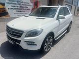 Mercedes-Benz MERCEDES-BENZ ML 250 BlueTEC 4Matic Sport EDITIO - : Mercedes Ml