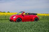Volkswagen Beetle Cabrio / Topausstattung / TÜV neu