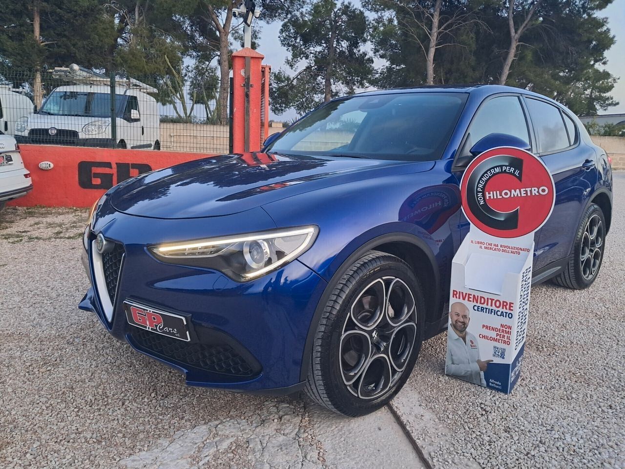Alfa Romeo Alfa R. Stelvio 190 CV * AT8 Q4 *LED-PELLE-CERCH