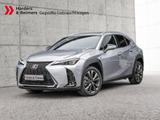 Lexus UX 300h F-Sport SHZ LEDER KAMERA NAVI ACC LED - Lexus UX Tageszulassungen