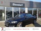 BMW 2 Cabrio 220i Luxury Line Business|Navi|Leder|LE - BMW 2er Reihe in Bochum
