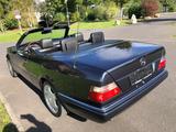 Mercedes-Benz 200 CABRIO FINAL EDITION AMG KLIMA LEDER  - Mercedes-Benz 220 mit Benzin-Antrieb: Cabrio