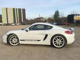 Porsche Cayman 981 - gebrauchte Porsche Cayman aus dem Jahr 2013