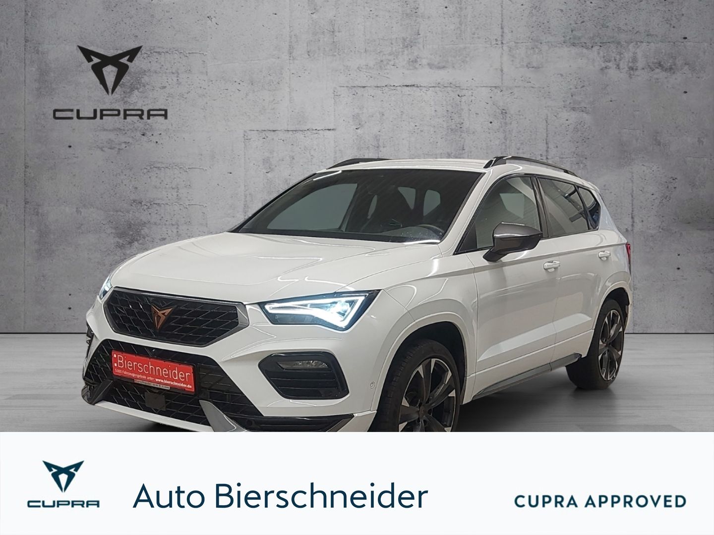 Cupra Ateca 2.0 TSI 4Drive DSG ab 339,- EUR 990,- Anz.