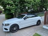 Mercedes-Benz Mercedes C 43 AMG Cabrio 4MATIC - : Roadster, Mercedes