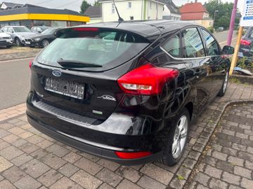 Ford Focus - 5