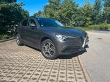 Alfa Romeo Stelvio 2.0 Turbo 16V 147kW - Vollausstattung! - Alfa Romeo Gebrauchtwagen von 2019