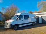 Mercedes-Benz Sprinter Mixto L3H2 (2,2 CDI Motor ) - Mercedes-Benz Sprinter in Rostock