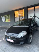 Fiat Punto 1.2 8V Dynamic Dynamic - Fiat Punto Dynamic mit Benzin-Antrieb