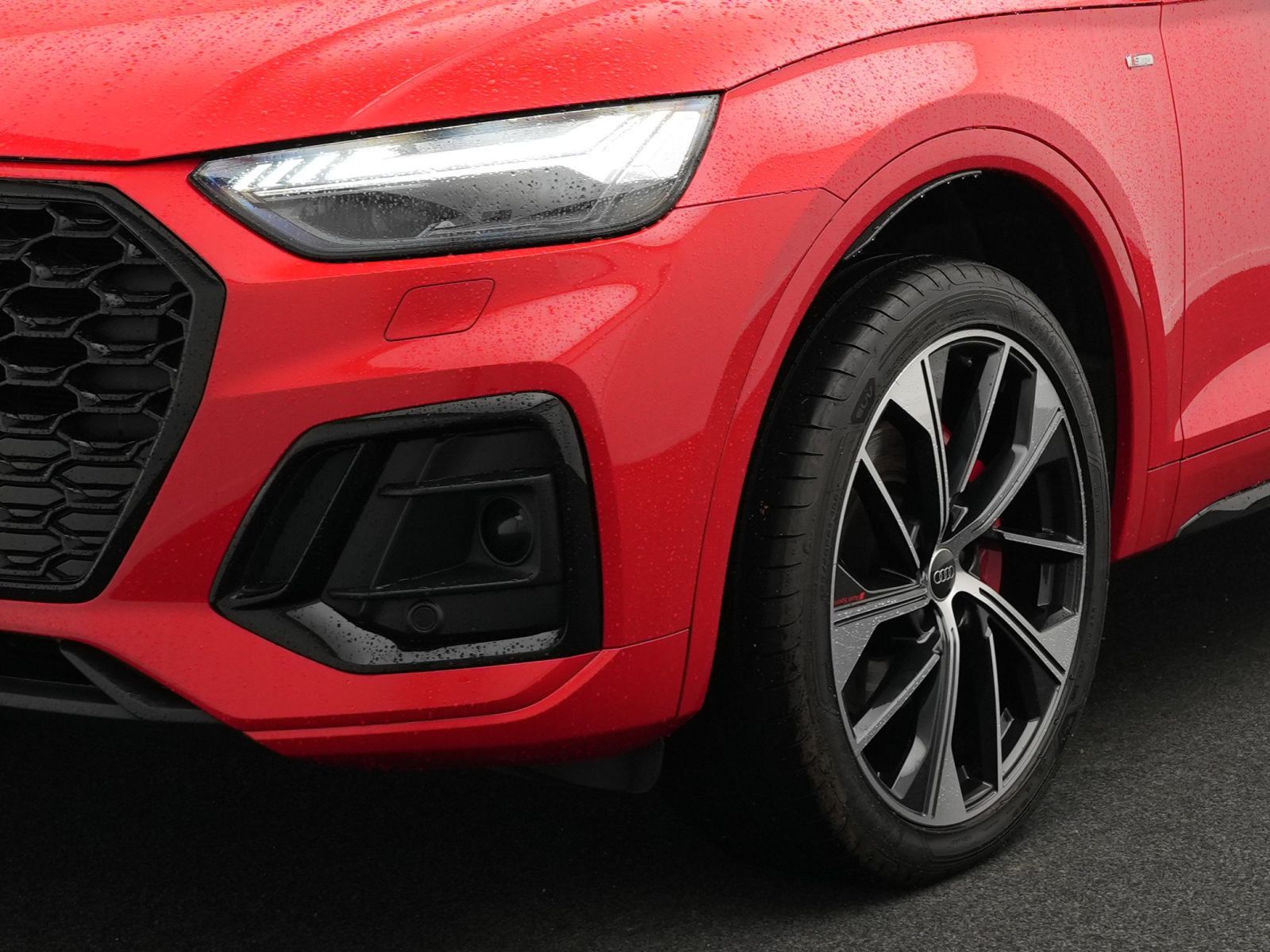 Audi Q5 - Bild 22