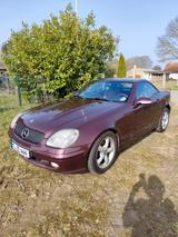 Mercedes-Benz SLK 320 - Cabrio, Sondermodell Designo PURPUR - Mercedes-Benz: Pur