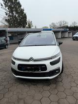 Citroën Familienauto, Citroen C4 - Citroën AMI Gebrauchtwagen