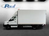 Mercedes-Benz Sprinter 516 CDI Koffer 4x4 AHK3,5+Bi-Xenon+Klim - Mercedes-Benz Sprinter: Allradantrieb