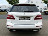 Mercedes-Benz ML 350 CDI BlueTec *Navi-Comand*Bi-Xenon*CAM*SHZ - Mercedes-Benz ML 350 in Nürnberg