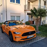 Ford Mustang 2.3 EcoBoost Auto - - gebrauchte Ford Roadster