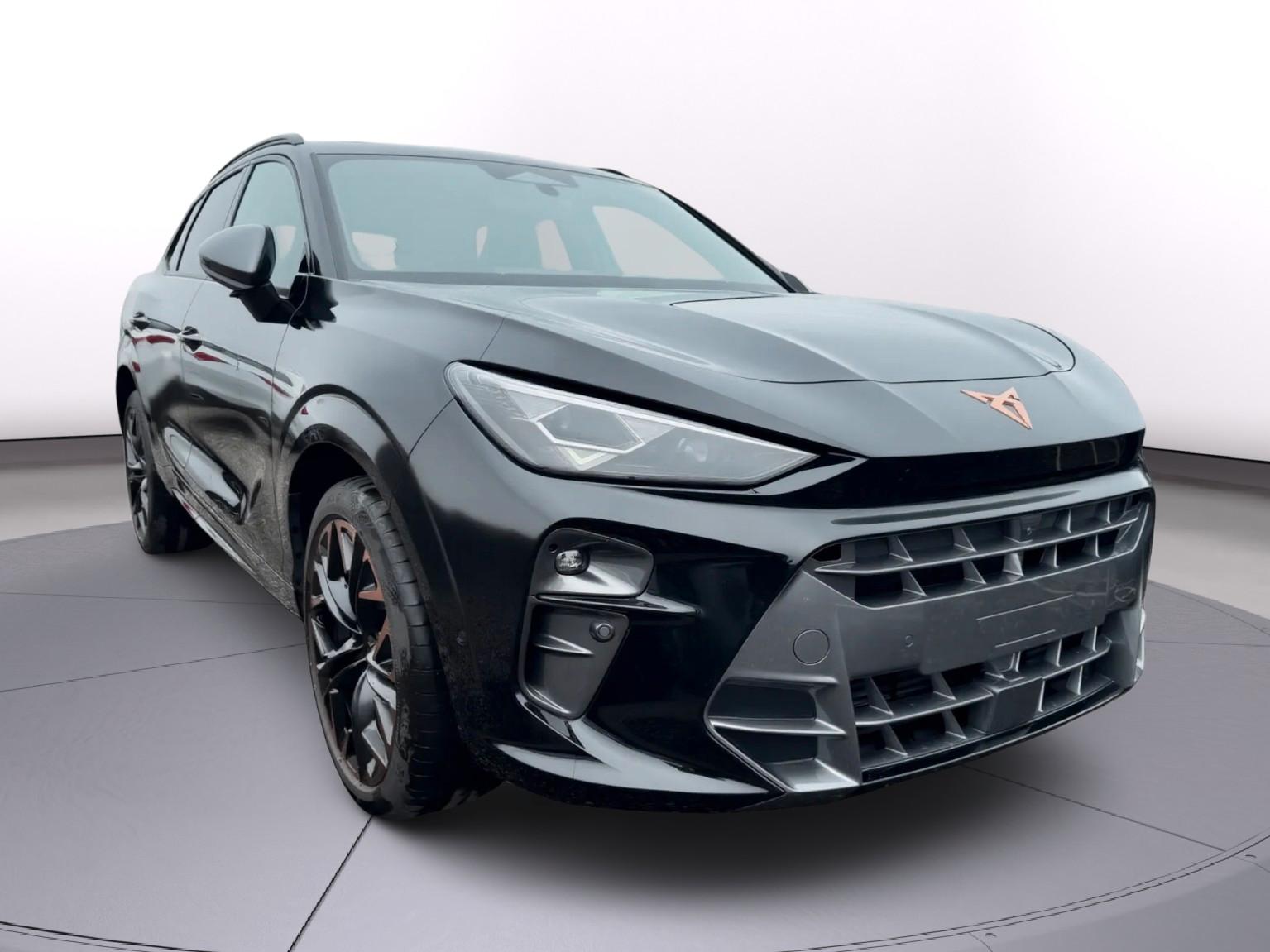 Cupra Terramar VZ 2.0 TSI 4Drive Pano/HUD/360°Kamera