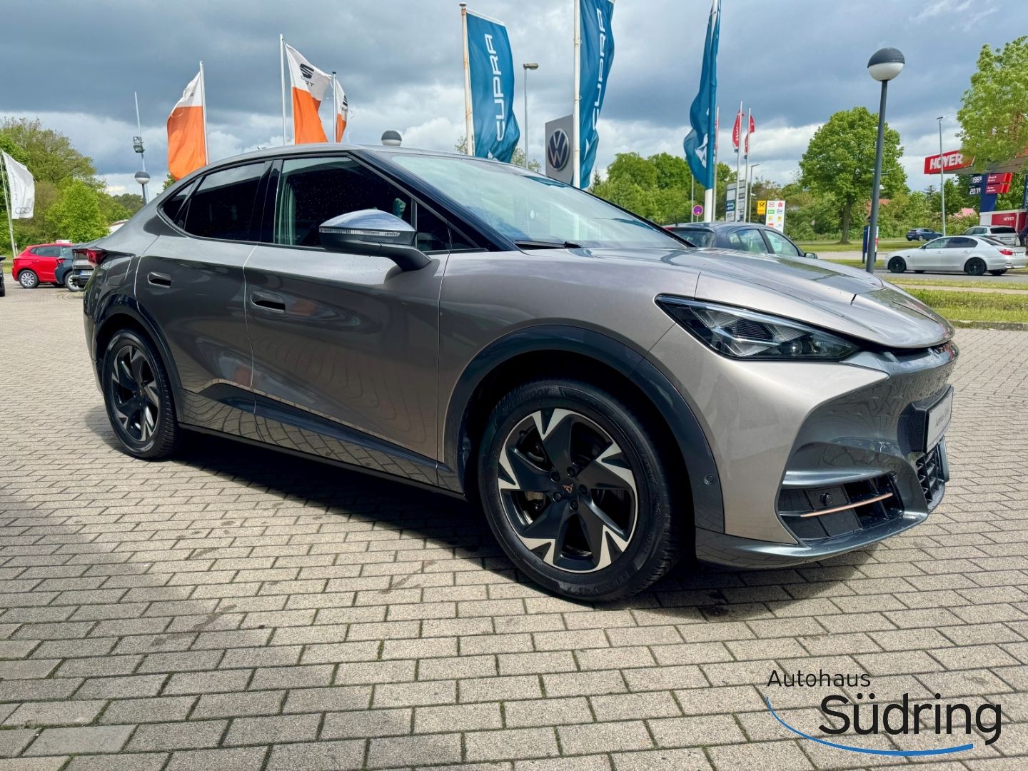 Tavascan Endurance 77kWh Navi Wärmepumpe