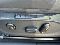 Cupra Terramar - Vorschau Bild 35