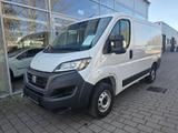 Fiat Ducato Kasten 30 120 L1H1 Entry-Pak. Klima Holzb - Fiat Ducato 120