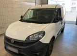 Fiat Doblo  1,3 Ltr. - 70 kW 16V M-Jet Kasten - Fiat Doblo: 1.3