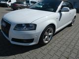 Audi A3 Cabriolet S line Sportpaket / plus I Hand - Audi A3 aus 2010: Line