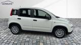 Fiat Panda 1,0 Hybrid (MHEV) Base DAB ES PDC Radio - Fiat Panda in Köln