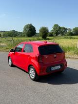 Kia Picanto 1.0 Dream-Team Edition Dream-Team Ed... - Kia Picanto von privat
