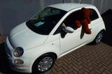Fiat 500 Pop original 36.100 km Scheckheft - Fiat 500: 3.1
