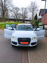 Audi Q5 3.0 V6 TDI 3x S-line Quattro Autom... - Audi Q5: V6 TDI