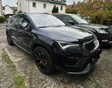Cupra Ateca 2.0 TSI 221kW 4Drive DSG - - Cupra Ateca in Köln
